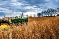 La qualifica di imprenditore agricolo è necessaria al fine di ottenere dei contributi?