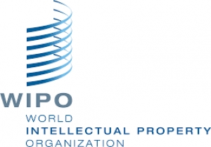 WIPO Workplan on GI - Questionario che si occupa della protezione delle Indicazioni Geografiche.