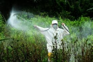 Glyphosate e il rinnovo dell&#039;autorizzazione.