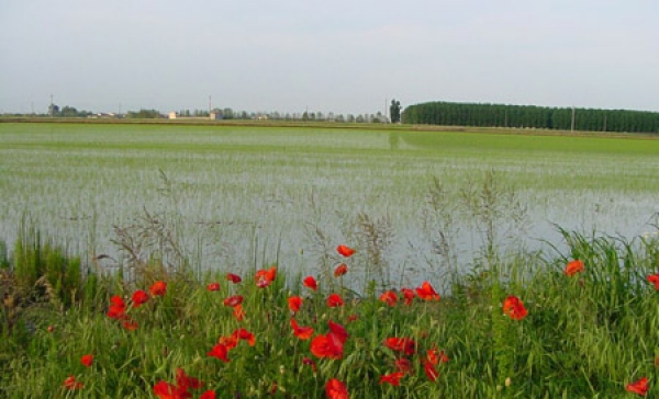 Coltivare in equilibrio con le forze della natura.