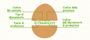 Uovo e codice di tracciabilità, come leggere l&#039;etichetta?
