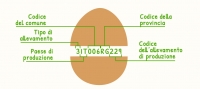 Uovo e codice di tracciabilità, come leggere l'etichetta?