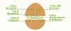 Uovo e codice di tracciabilità, come leggere l&#039;etichetta?