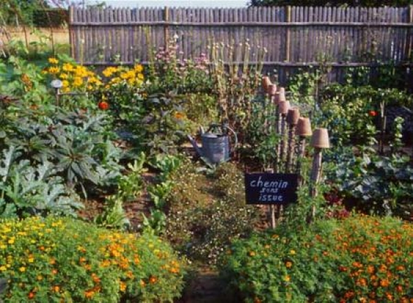 Corso di Biodinamica - coltivare in armonia con la natura.