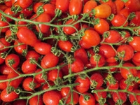 Pubblicato il decreto che introduce l'obbligo di indicazione in etichetta dell'origine dei derivati del pomodoro.
