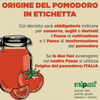 Etichetta pomodoro: firmati i decreti per avvio obbligo di origine per conserve, sughi e derivati.