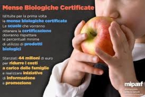 Aperto il bando per le mense scolastiche biologiche certificate.